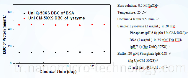 Ion Exchange Filter